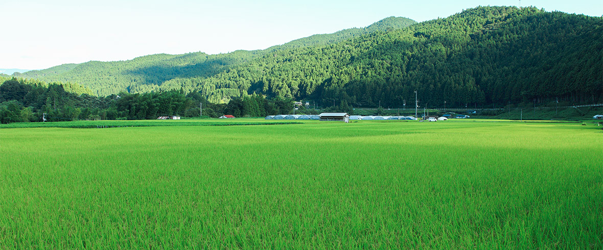 カワムラファーム近景