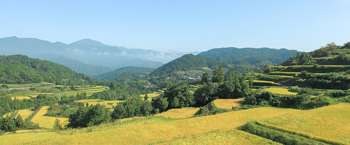 本山町天空の郷棚田